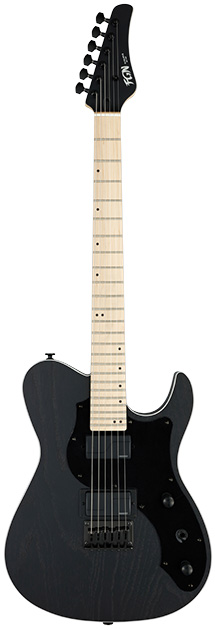 【美品】FUJIGEN FGN J-Standard JIL2-ASH-DE-M1弦12フレット